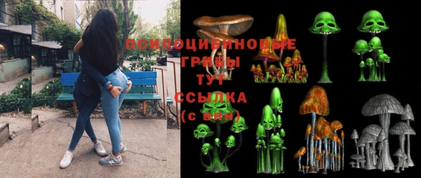 крисы Алексин