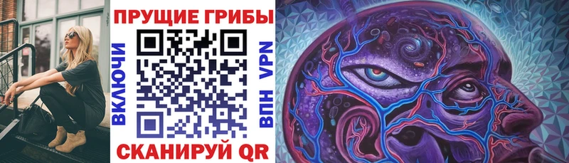 Псилоцибиновые грибы мицелий  дарнет шоп  Цимлянск 